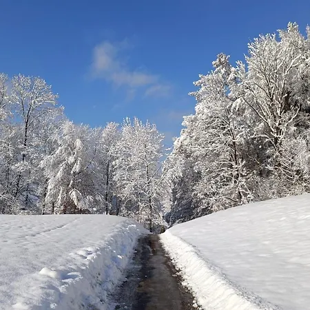 Haus Flora Am Kaiser Apartman Niederndorf