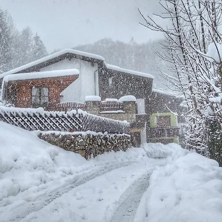 Апартаменты Haus Flora Am Kaiser Niederndorf (Tyrol)
