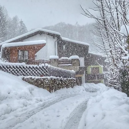 Apartment Haus Flora Am Kaiser Niederndorf (Tyrol)
