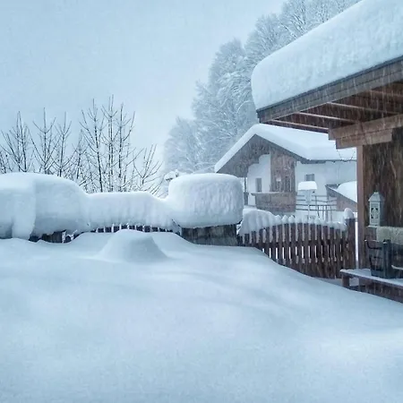 Haus Flora Am Kaiser Niederndorf (Tyrol)