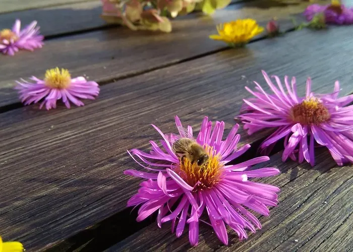 Haus Flora Am Kaiser