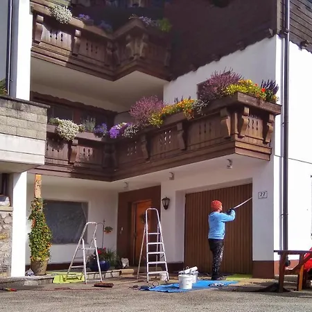 아파트 Haus Flora Am Kaiser Niederndorf (Tyrol)